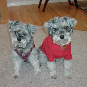 Fundraising Page: Bob Selveen